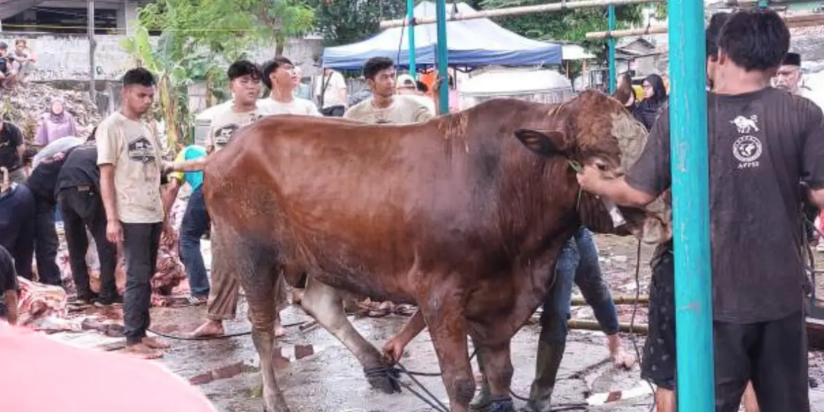 কোরবানির পশু জবাইকারীকে কোন পারিশ্রমিক দিতে হবে কী?